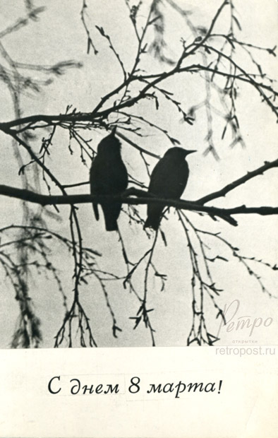   8 ,    ! , , 1966 .