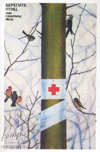  ,   ,   -   , , 1986 .