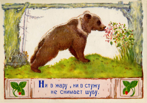  ,  (),  ., 1955 .