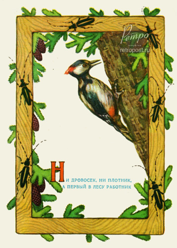   ,  (),  ., 1956 .