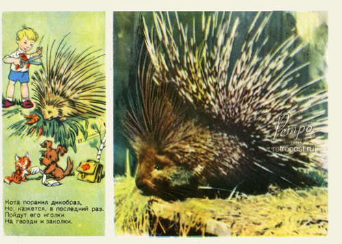   , ,  ., 1955 .