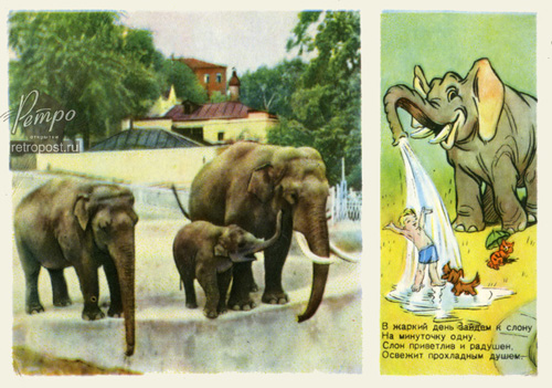   , ,  ., 1955 .