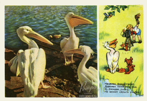   , ,  ., 1955 .