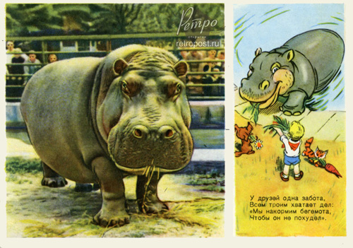   , ,  ., 1955 .