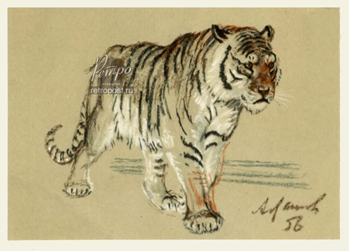   , ,  ., 1956 .
