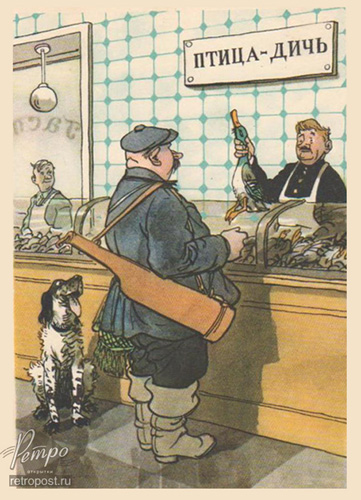   ,  .   ,  ., 1960 .