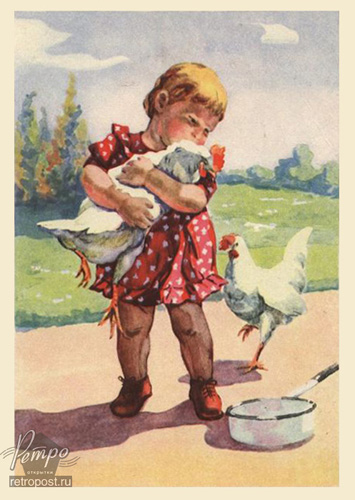   ,  .   , , 1955 .