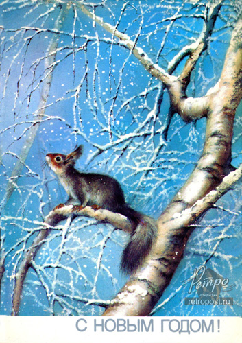  c  ,   !,  ., 1988 .