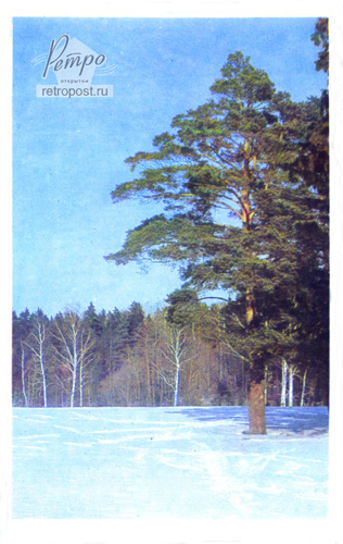  c  ,  ,  ., 1968 .