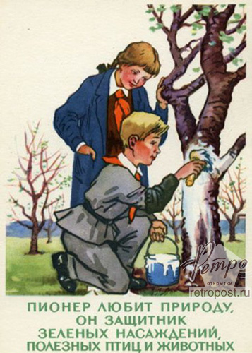    ,   .   ,    ,   ,  ., 1964 .