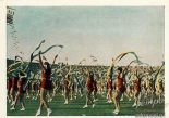   , 1954