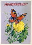   , 1989,  .