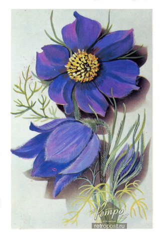   , ,  ., 1989 .