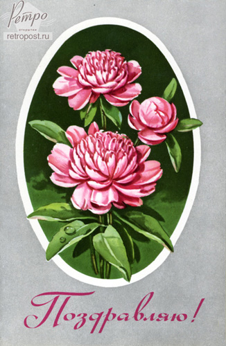   , , , 1977 .