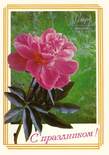   ,  !,  ., 1995 .