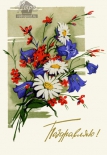 Открытка Поздравляю! Букет полевых цветов, 1962