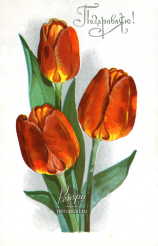   ,  ,  ., 1972 .