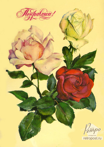   , !,  ., 1982 .