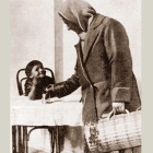   "   ", 1920-